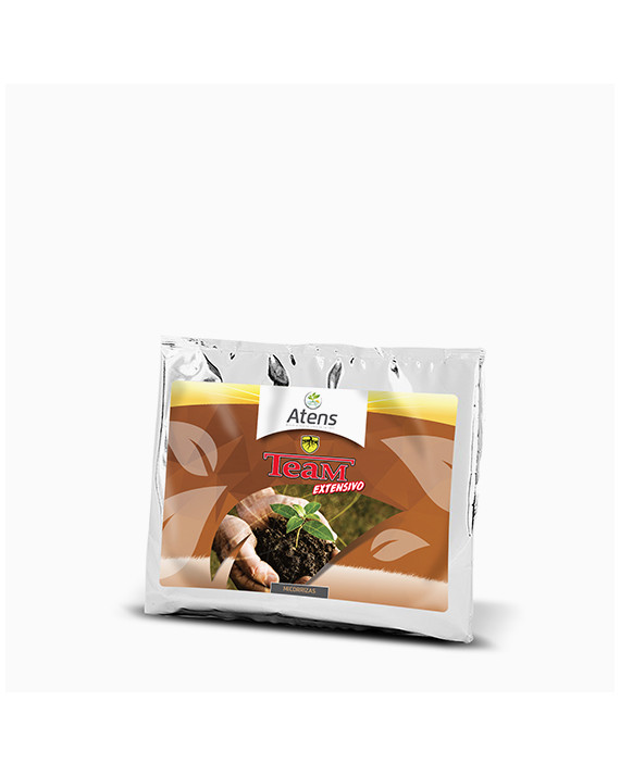 TEAM EXTENSIVO 3 KILOS EL KILO