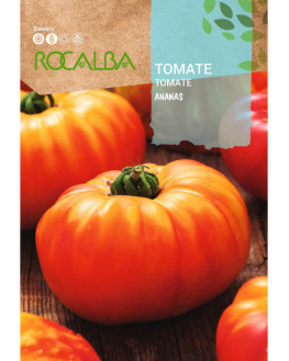 ROCA TOMATE ANANAS SHBN1432
