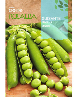 ROCA GUISANTE ONWARD SHBN4085