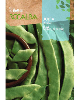 ROCA JUDIA BACLE BOLSA...