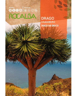 ROCA DRAGO DRACAENA DRACO...