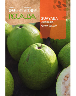 ROCA GUAYABA FNFC6683