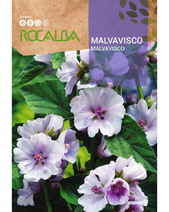 ROCA MALVAVISCO FNAM7858