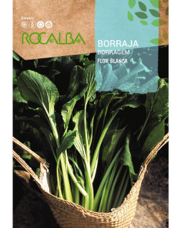 ROCA BORRAJA FLOR BLANCA...