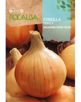 ROCA CEBOLLA VALENCIANA...