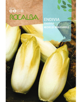 ROCA ENDIVIA MECHELSE...