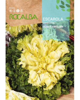 ROCA ESCAROLA GIGANTE...