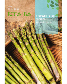 ROCA ESPARRAGO UC 157 SHBN0751