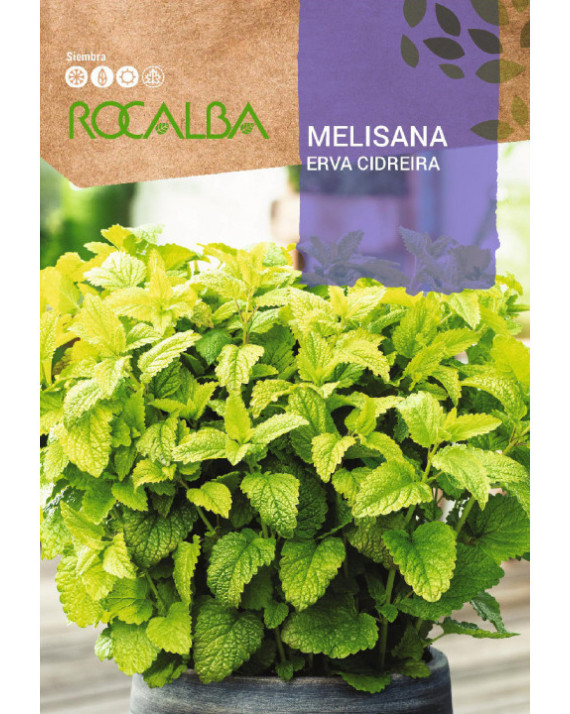 ROCA MELISANA BOLSA FNAM7870