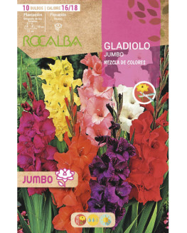 ROCA GLADIOLOS JUMBO MEZCLA...