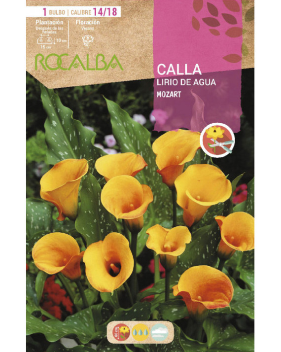 ROCA MOZART COLOR ALBARICOQUE BOLSA...