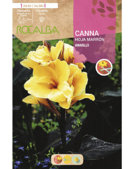 ROCA CANNAS AMARILLO H....