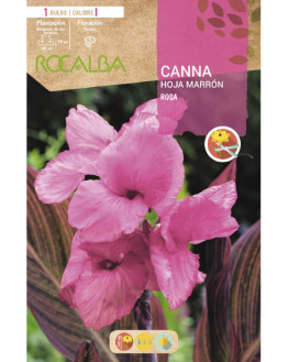 ROCA CANNAS ROSA H. MARRON...