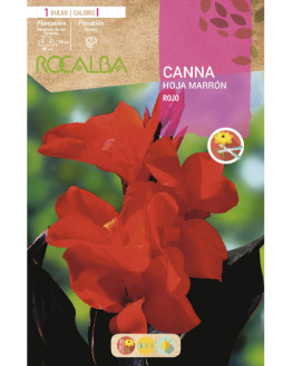ROCA CANNAS ROJO H. MARRON...