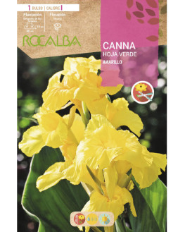 ROCA CANNAS AMARILLO H....