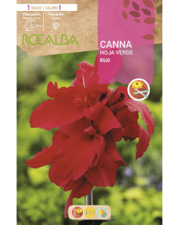 ROCA CANNAS ROJO H. VERDE...