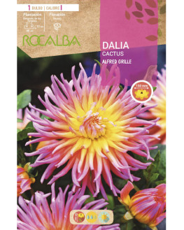 ROCA ALFRED GRILLE ROSA...