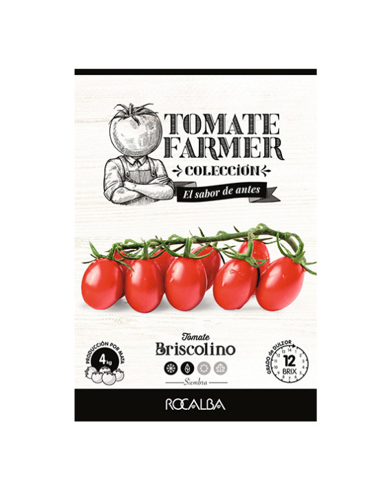 ROCA TOMATE BRISCOLINO SHTF1700