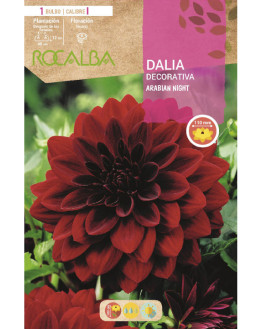 ROCA ARABIAN NIGHT CASI...