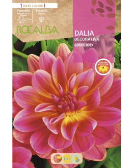 ROCA GERRIE HOEK ROSA EBDD8265