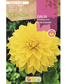 ROCA KELVIN FLOODLIGHT...