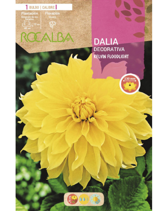 ROCA KELVIN FLOODLIGHT AMARILLO EBDD8315