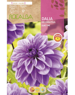 ROCA LILAC TIME LILA...