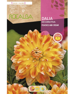 ROCA PEACHES AND CREAM...