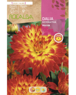 ROCA PROCYON ROJO Y...