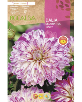 ROCA SMOKEY BLANCO CON LILA...