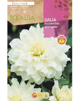 ROCA SNOWCOUNTRY BLANCO...