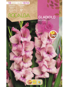 ROCA DECISO ROSA BOLSA...