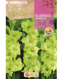 ROCA GREEN STAR NERDE...