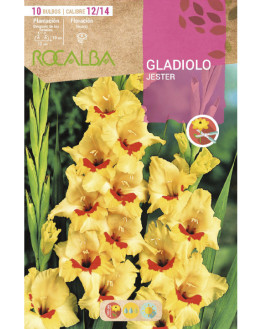 ROCA JESTER AMARILLO CENTRO...