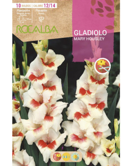 ROCA MARY HOUSLEY BLANCO...