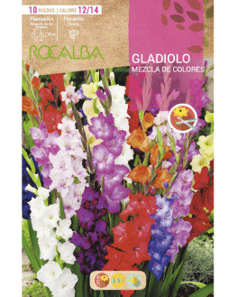 ROCA GALDIOLOS MEZCLA DE...