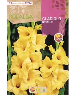 ROCA NOVALUX AMARILLO EBGL8010