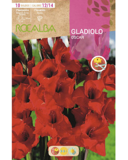 ROCA OSCAR ROJO OSCURO...