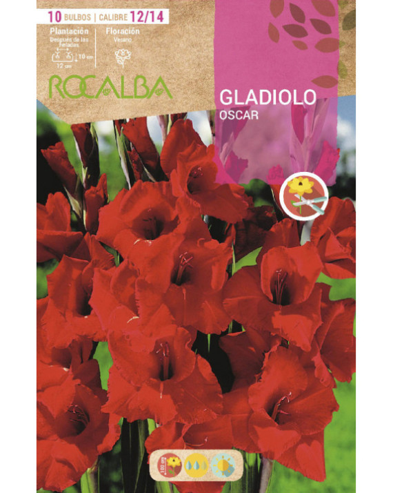 ROCA OSCAR ROJO OSCURO BOLSA EBGL8045