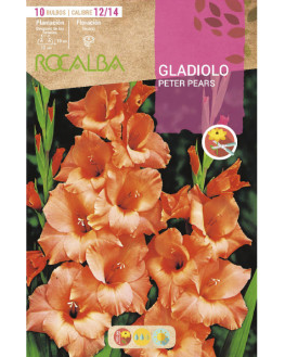 ROCA PETER PEARS SALMON...