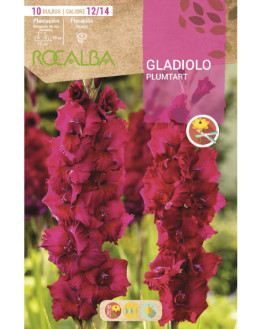 ROCA PLUMTART PURPURA BOLSA...