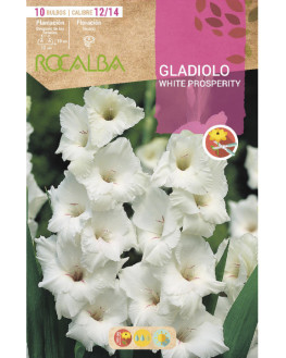 ROCA WHITE PROSPERITY...