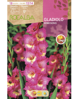 ROCA WINDSONG ROSA LAVANDA...