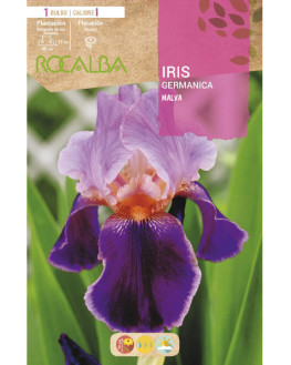 ROCA IRIS MALVA BOLSA EBIG9160