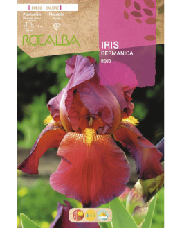 ROCA IRIS ROJO BOLSA  EBIG9165