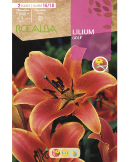 ROCA GOLF NARANJA EBLI8575