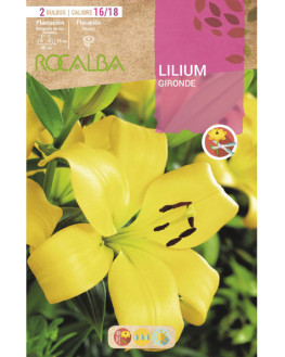 ROCA GIRONDE AMARILLO BOLSA...