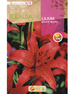 ROCA MONTE NEGRO ROJO VIVO...