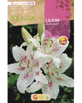 ROCA MUSCADET BLANCO PUNTOS...