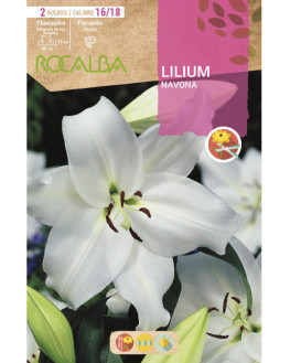 ROCA NAVONA BLANCO BOLSA...